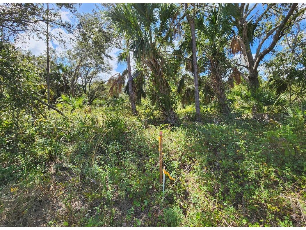Lot 4 Jagust Road North Port FL 34288 A4640086 image19