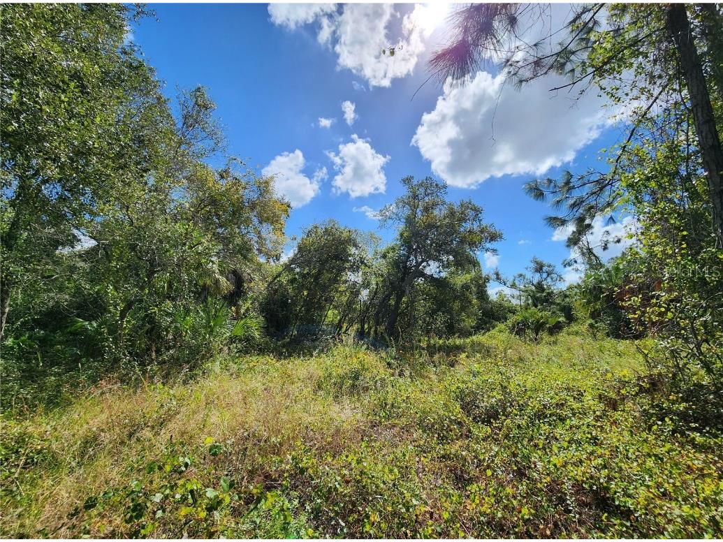 Lot 4 Jagust Road North Port FL 34288 A4640086 image20