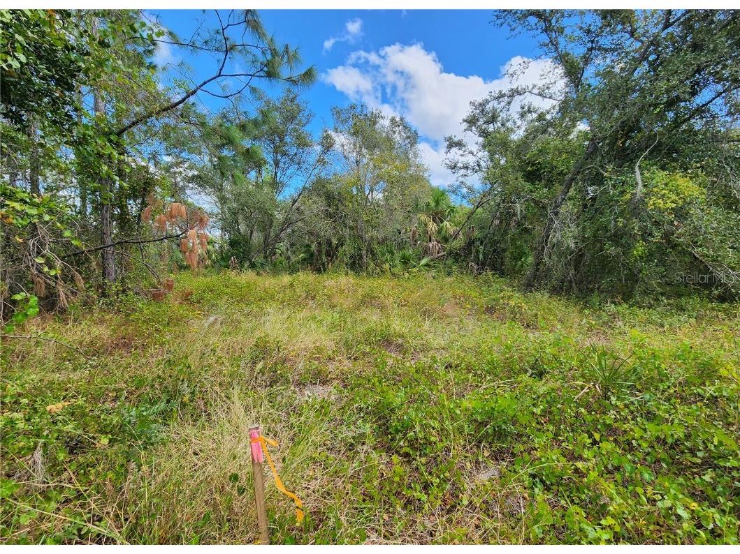 Lot 4 Jagust Road North Port FL 34288 A4640086 image21