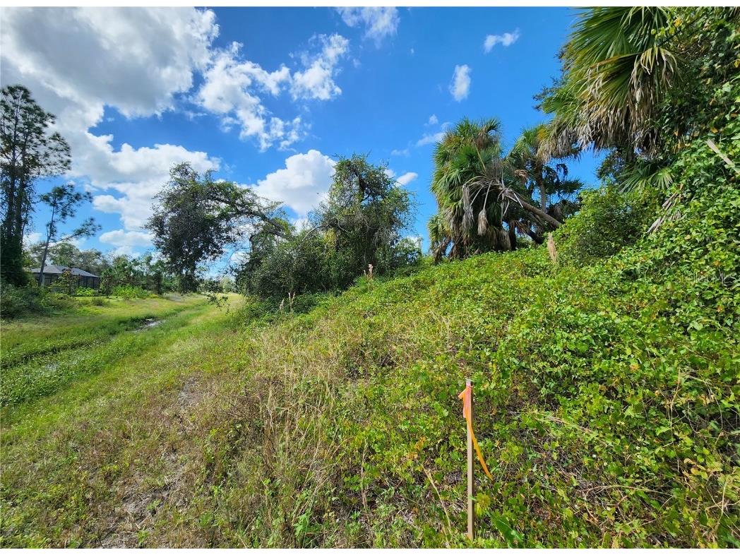 Lot 4 Jagust Road North Port FL 34288 A4640086 image22