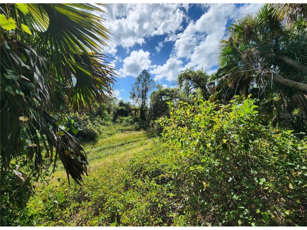 Lot 4 Jagust Road North Port FL 34288 A4640086 image23