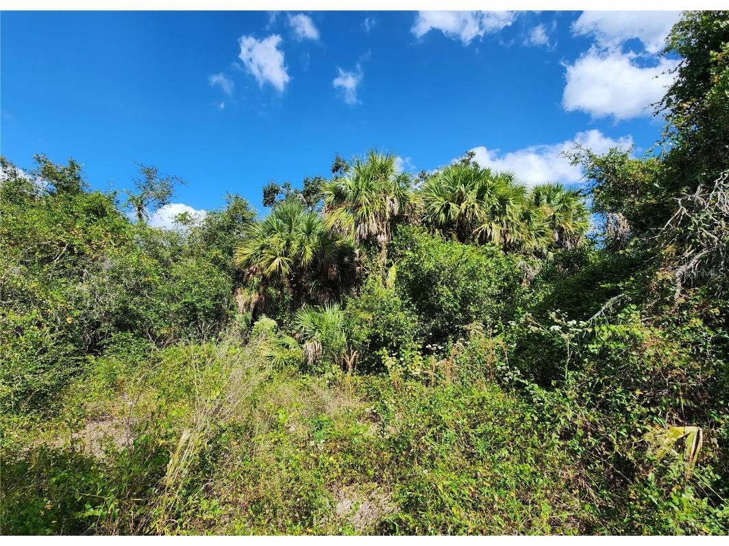 Lot 4 Jagust Road North Port FL 34288 A4640086 image24