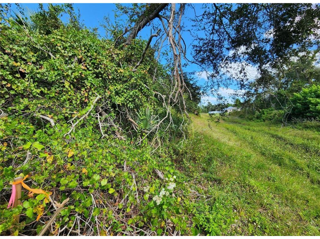 Lot 4 Jagust Road North Port FL 34288 A4640086 image25
