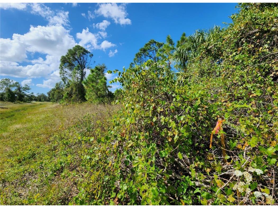 Lot 4 Jagust Road North Port FL 34288 A4640086 image26