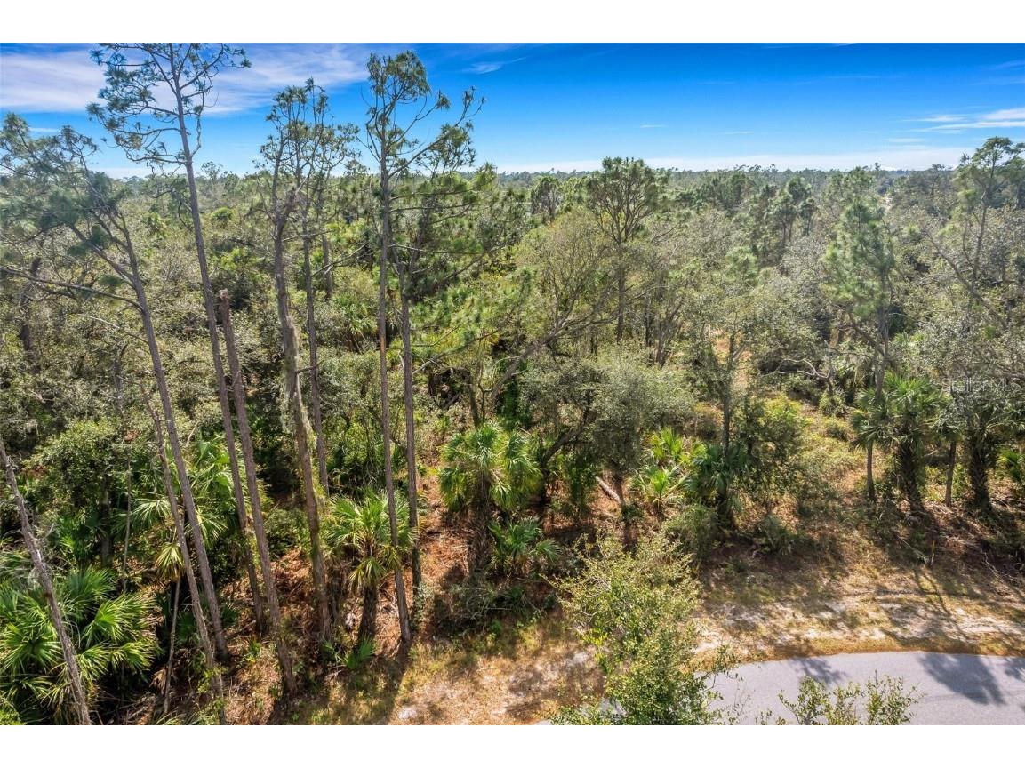 Lot 4 Jagust Road North Port FL 34288 A4640086 image9