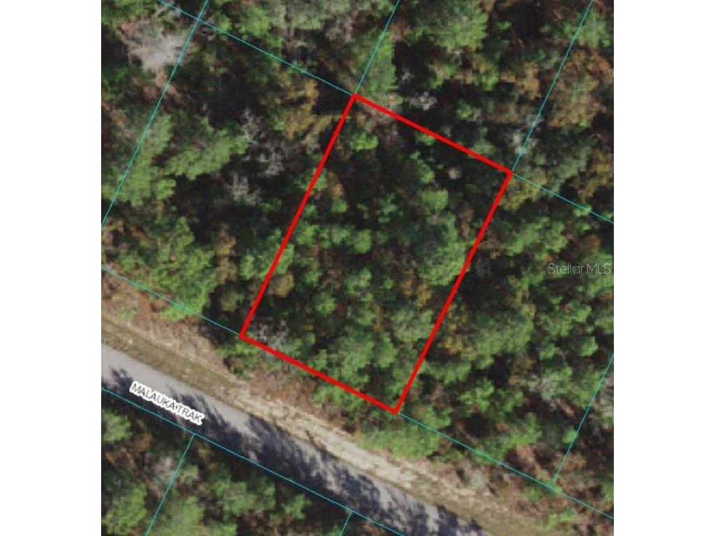 Lot 4 Malauka Track Ocklawaha FL 32179 OM619858 image1