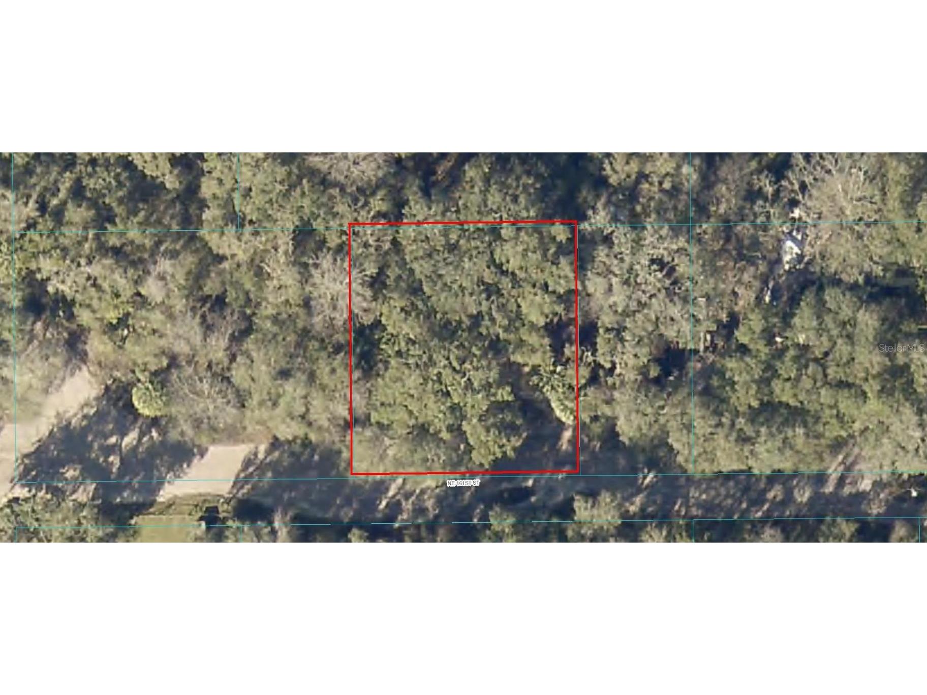 Lot 4 Ne 161st Street Citra FL 32113 OM660769 image1