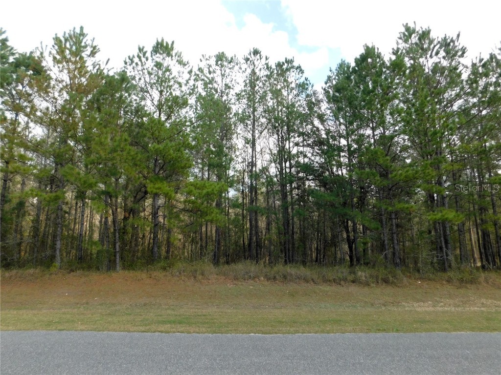 Lot 4 NW 145 Avenue Williston FL 32696 OM694862 image1