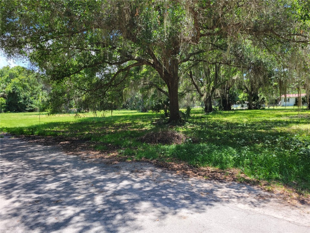 Lot 4 NW 217th Street Micanopy FL 32667 U8168774 image1