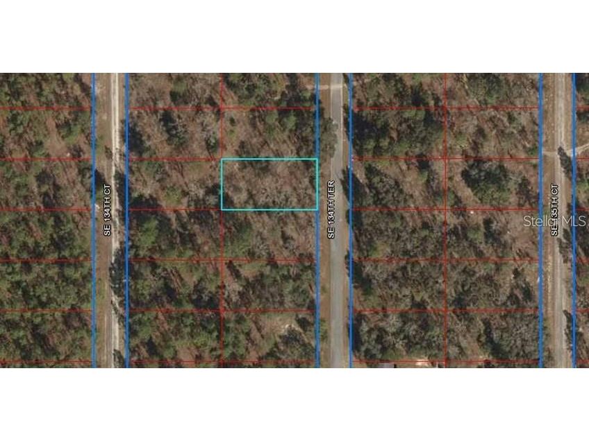 Lot 4 SE 134th Terrace Dunnellon FL 34431 OM699603 image1