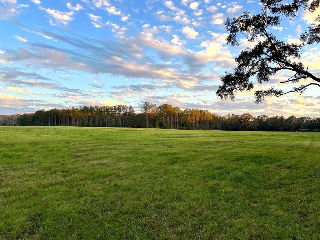 Lot 4 SW 15th Avenue Newberry FL 32669 GC510470 image1