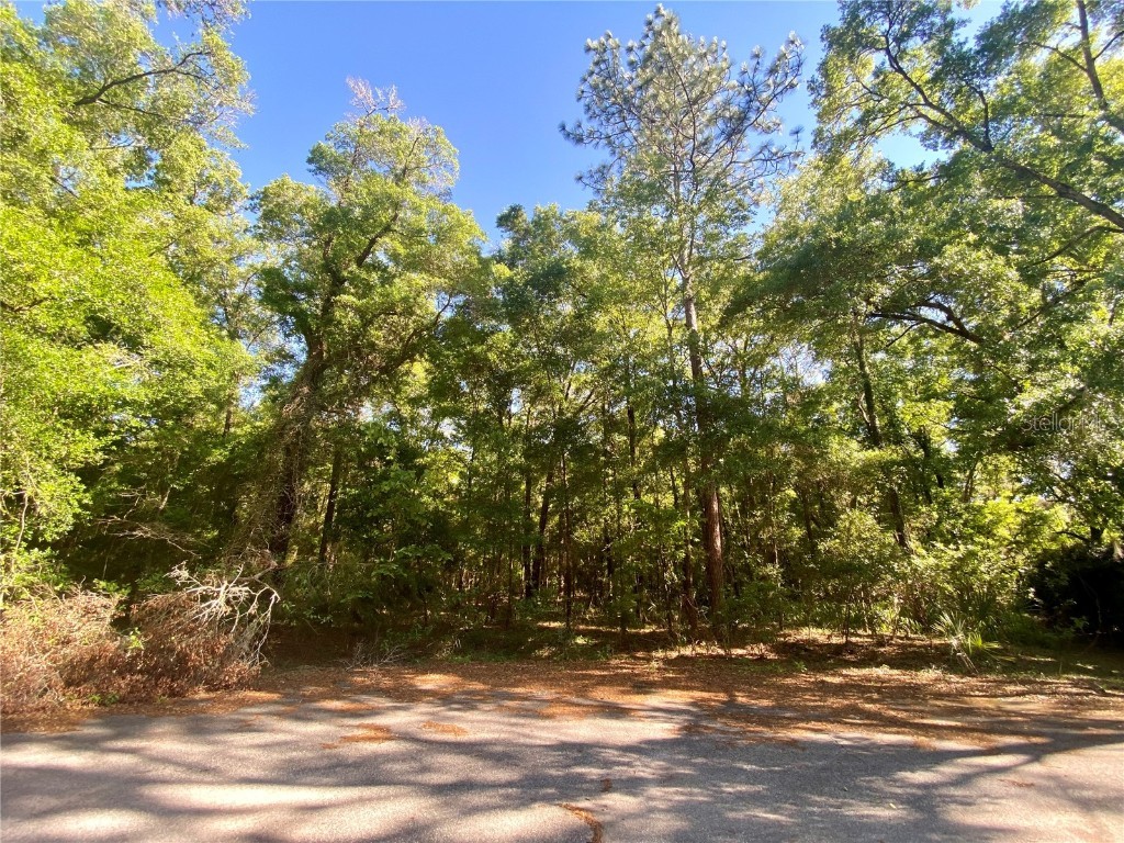 Lot 4 SW 185 Circle Dunnellon FL 34432 - RAINBOW RIVER OM676362 image1