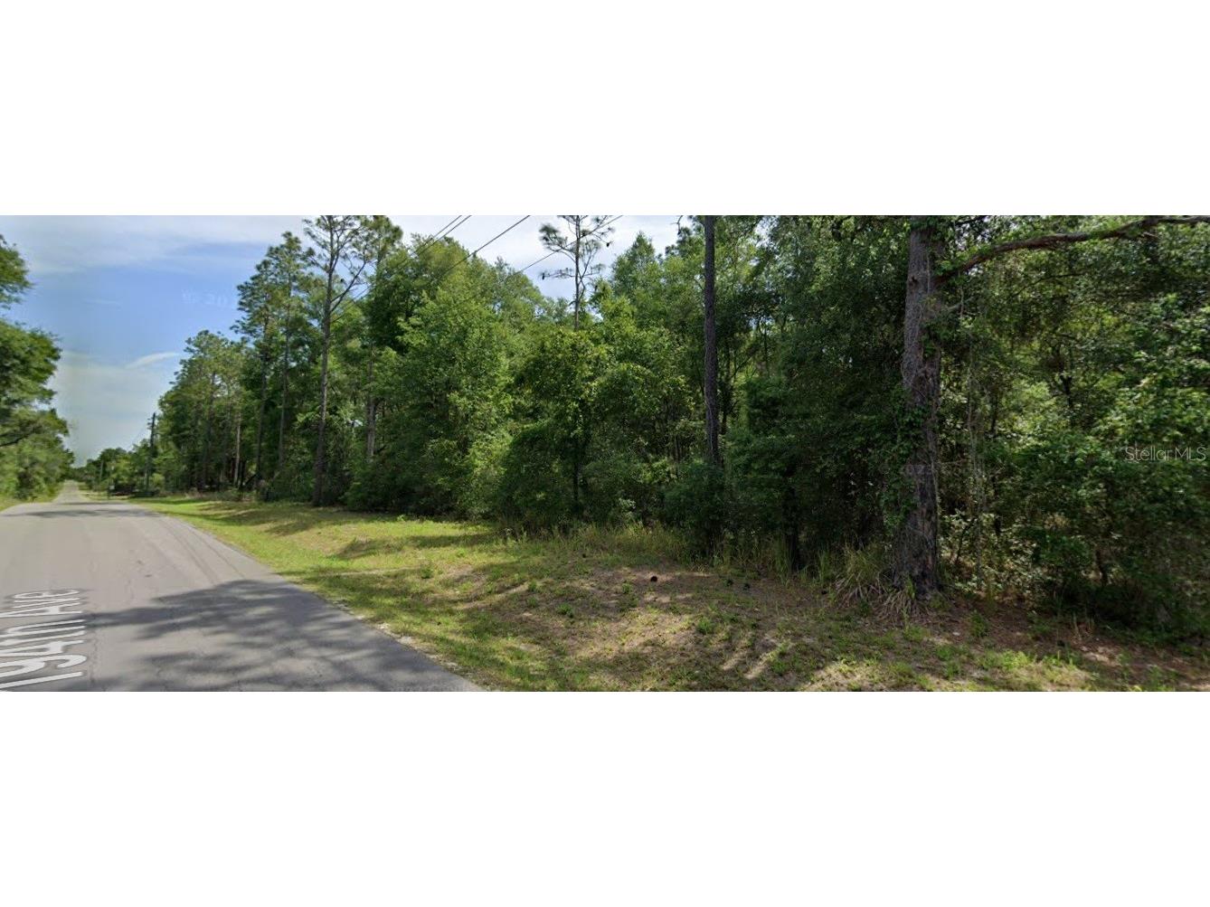 Lot 4 SW 194th Avenue Dunnellon FL 34432 OM708122 image3