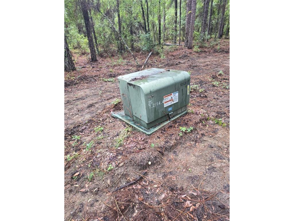 Lot 4 SW 194th Avenue Dunnellon FL 34432 OM708122 image4