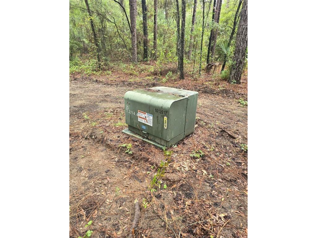 Lot 4 SW 194th Avenue Dunnellon FL 34432 OM708122 image5