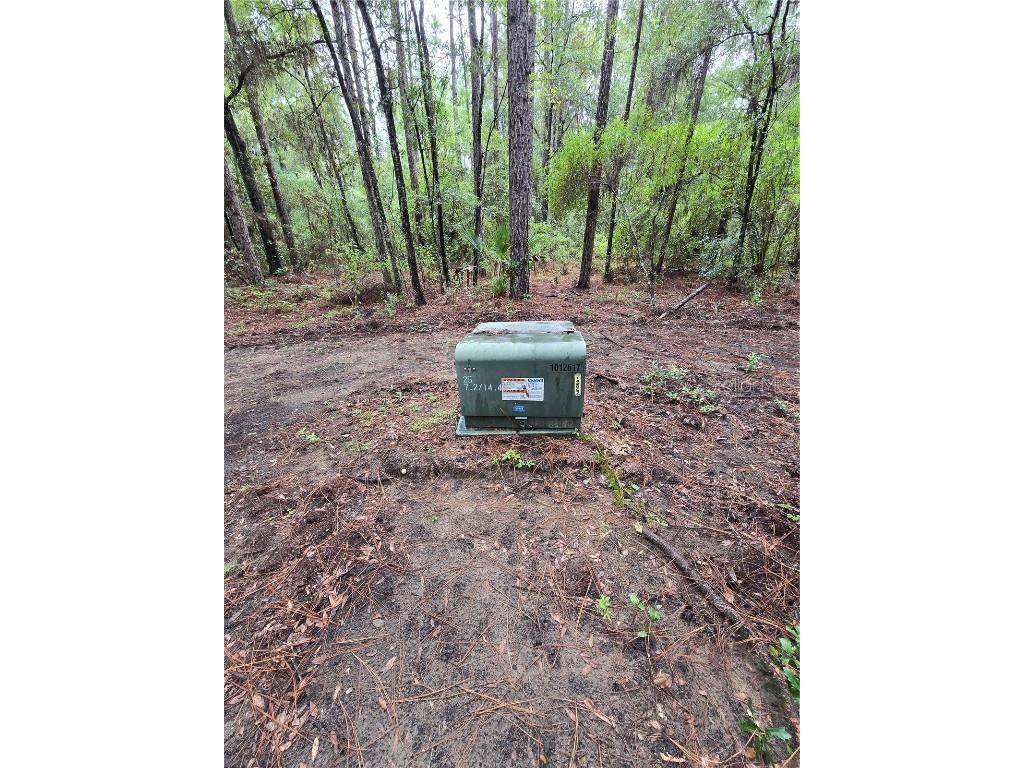 Lot 4 SW 194th Avenue Dunnellon FL 34432 OM708122 image6