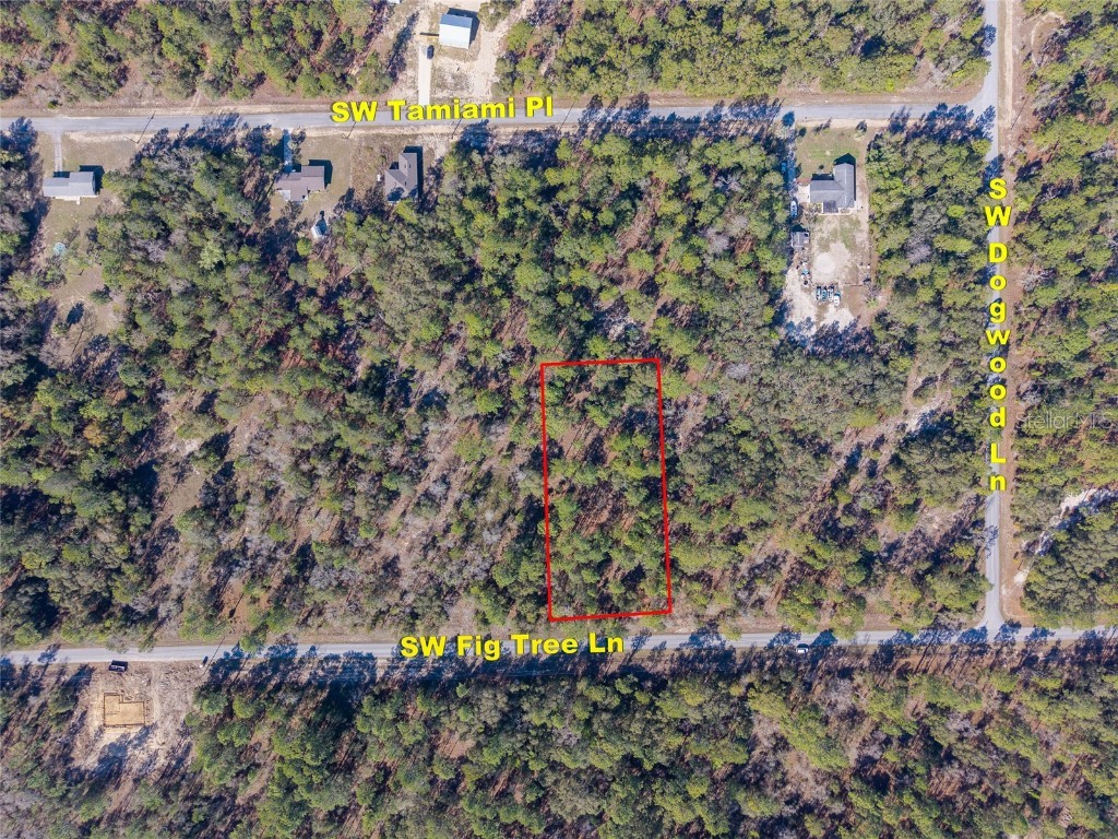 Lot 4 SW Fig Tree Lane Dunnellon FL 34431 OM696548 image1