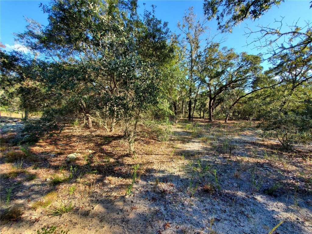 Lot 4 SW Paradise Heights Road Dunnellon FL 34431 OM704171 image1