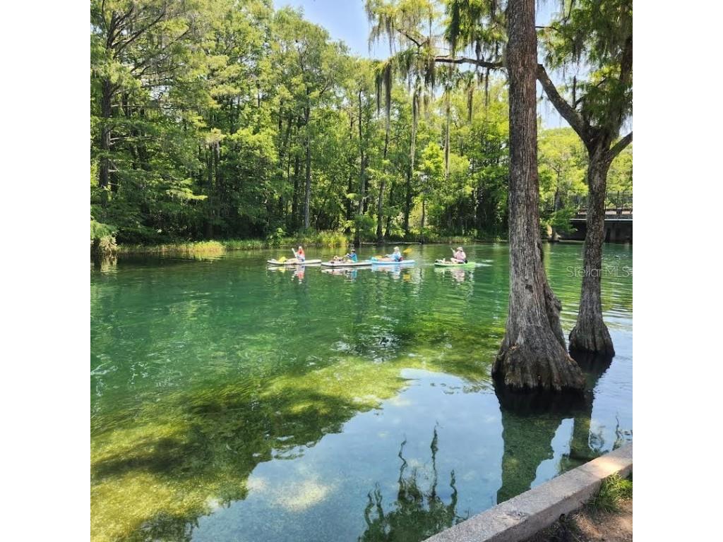 Lot 4 SW Paradise Heights Road Dunnellon FL 34431 OM704171 image10