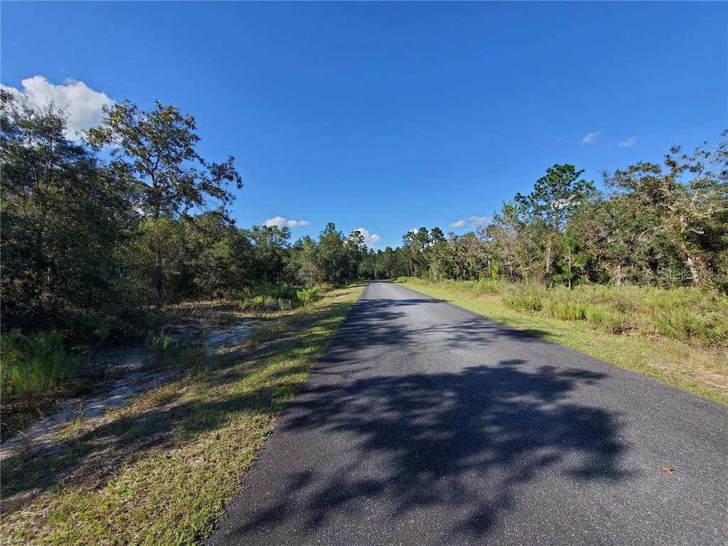 Lot 4 SW Paradise Heights Road Dunnellon FL 34431 OM704171 image2