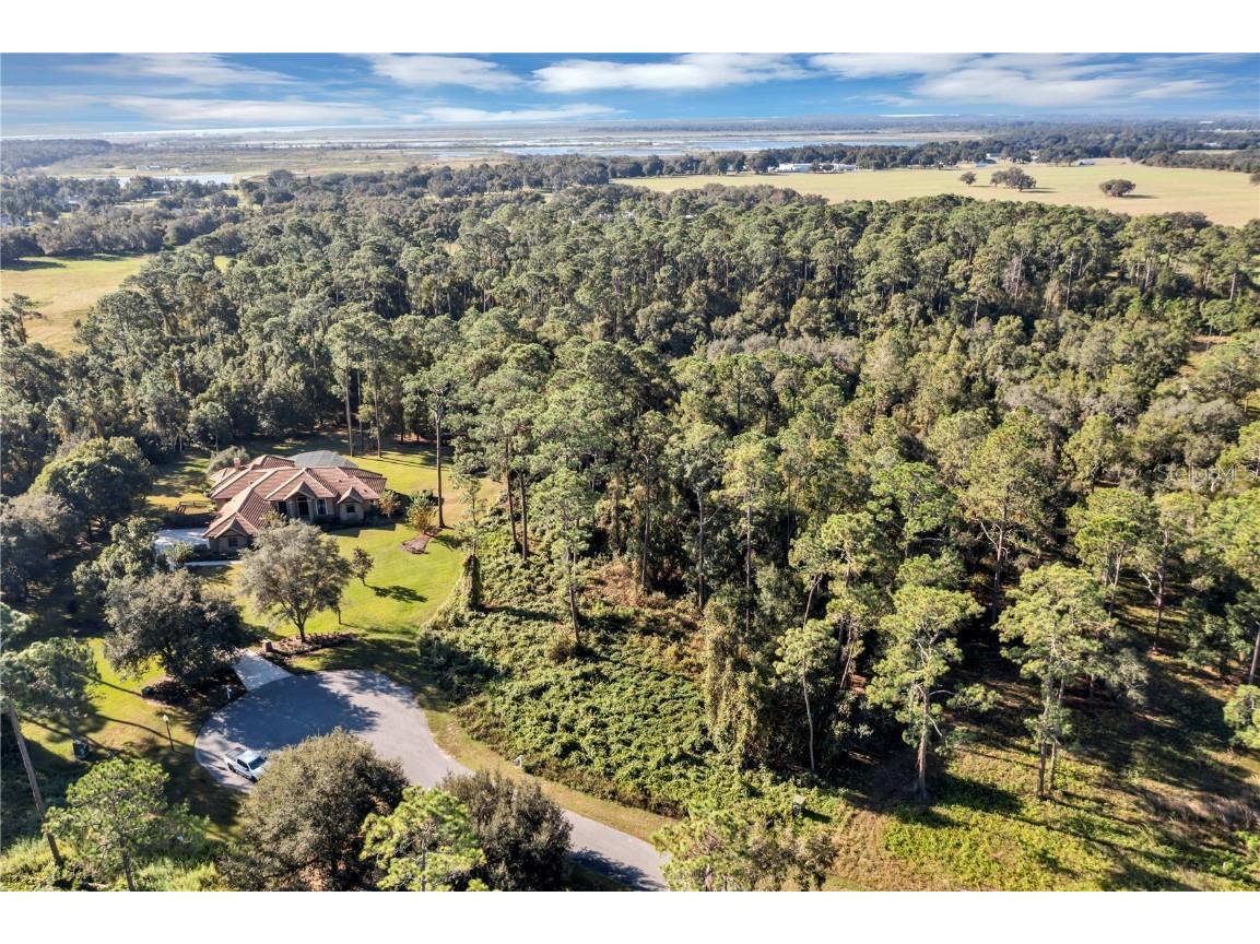 Lot-40 Grand Oak Ln Tavares FL 32778 O6069208 image1