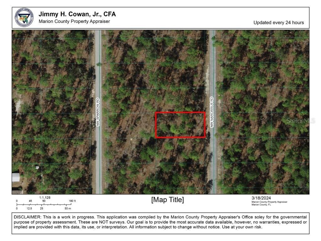 Lot 40 NW Narcissus Road Dunnellon FL 34431 - Tiger Lake OM674972 image1