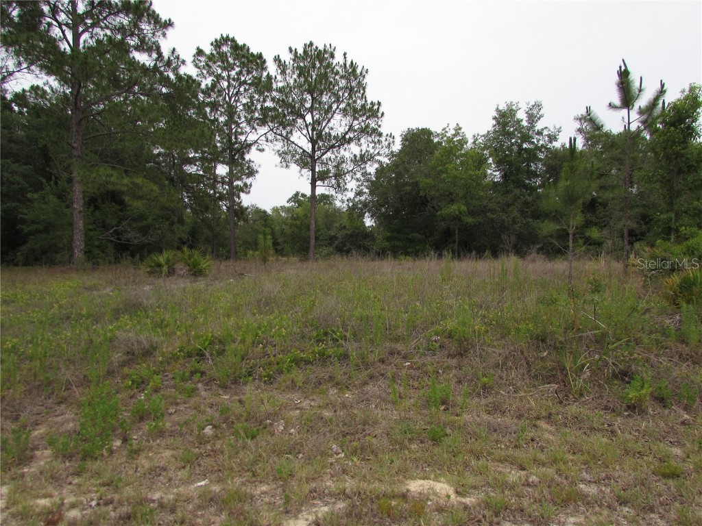Lot 40 SW South Wind Court Dunnellon FL 34431 - Tiger Lake OM702795 image1