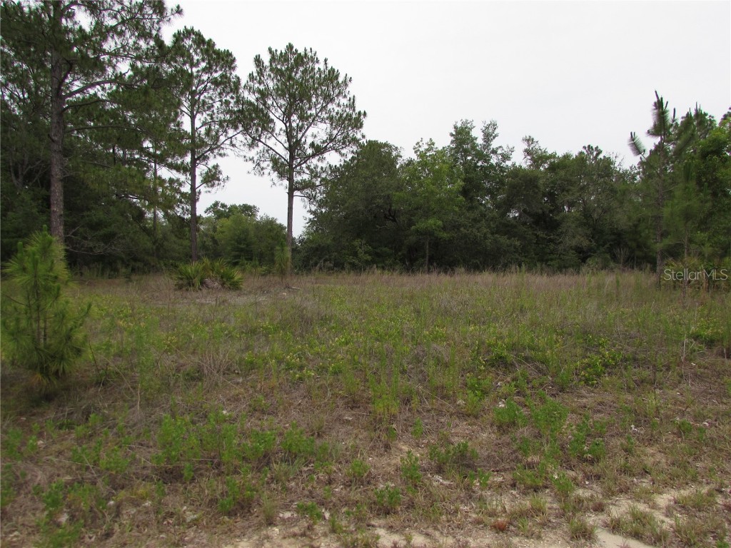 Lot 40 SW South Wind Court Dunnellon FL 34431 - Tiger Lake OM702795 image2