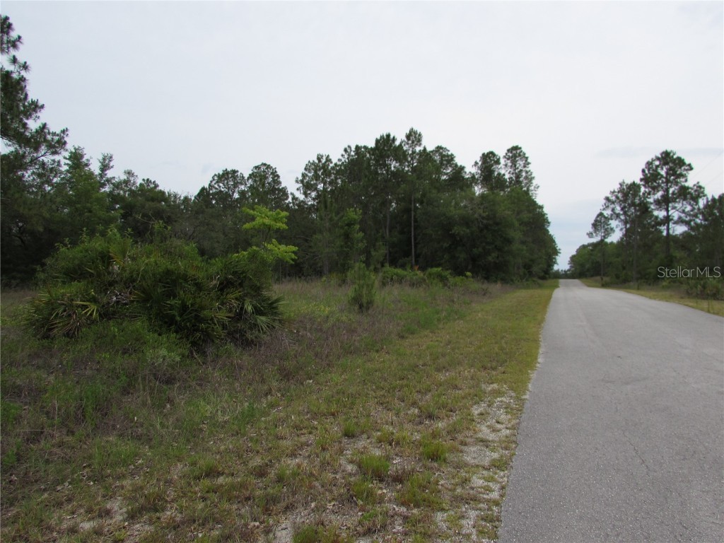 Lot 40 SW South Wind Court Dunnellon FL 34431 - Tiger Lake OM702795 image3