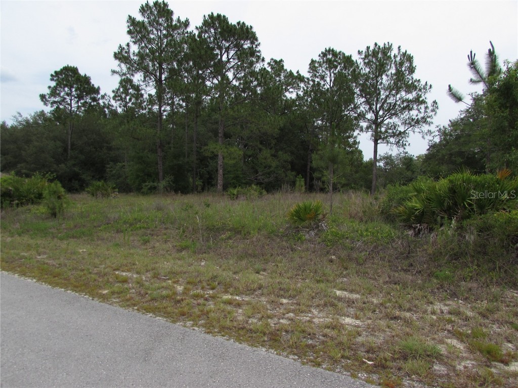 Lot 40 SW South Wind Court Dunnellon FL 34431 - Tiger Lake OM702795 image4