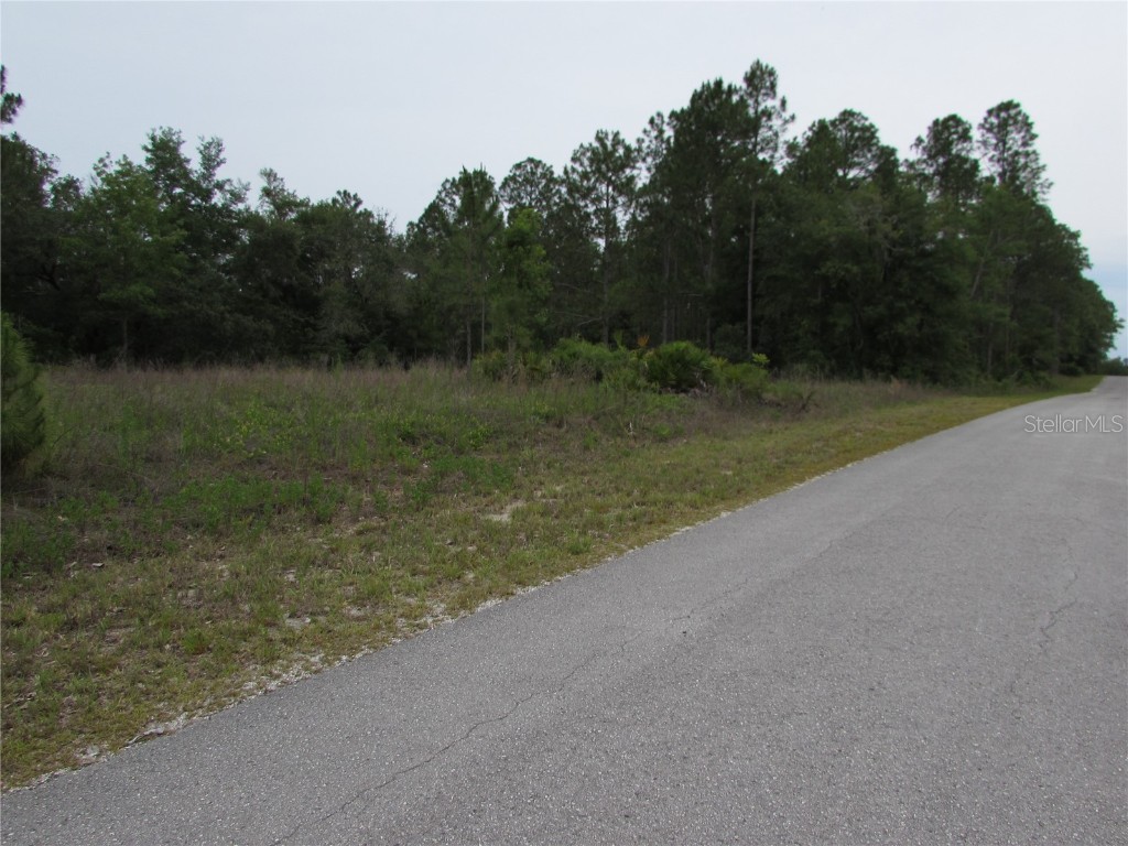Lot 40 SW South Wind Court Dunnellon FL 34431 - Tiger Lake OM702795 image5