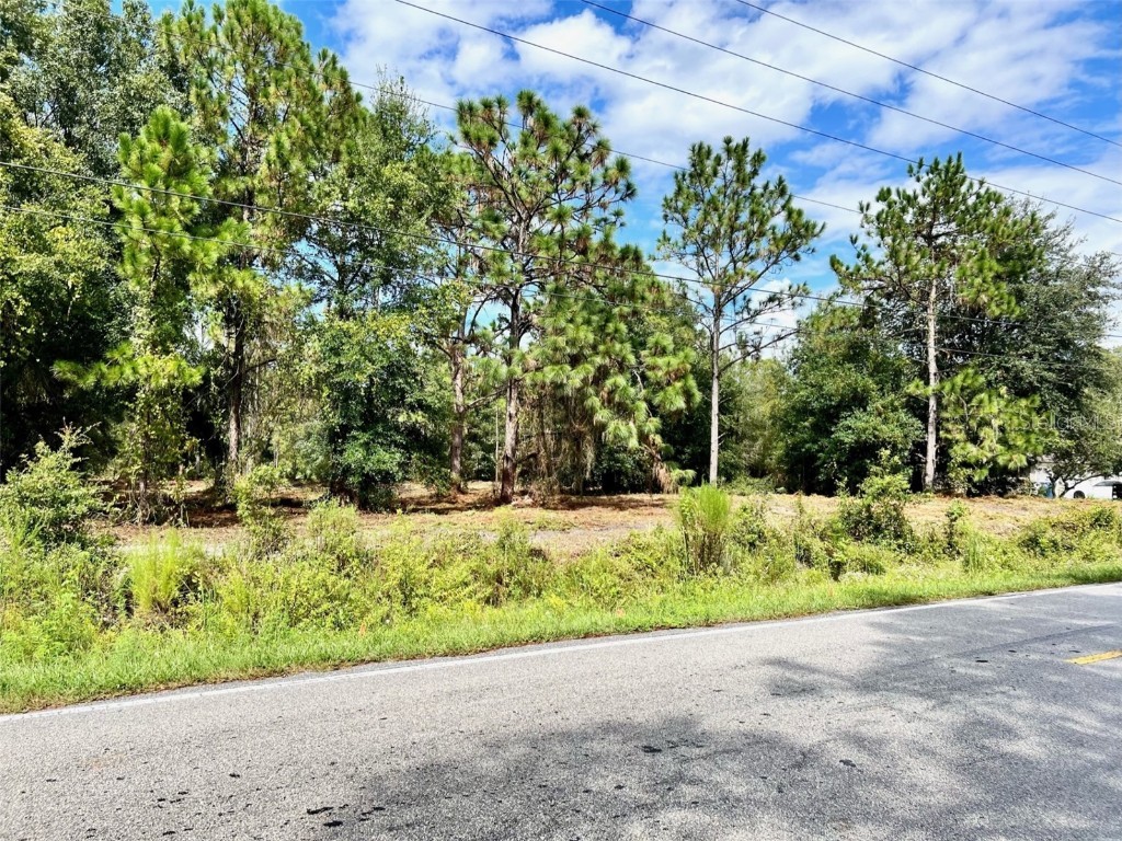 Lot 404 Quail Hollow Boulevard Wesley Chapel FL 33543 T3450399 image1