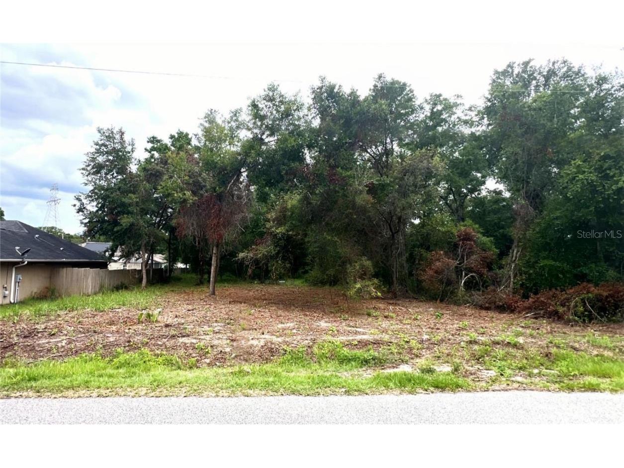Lot 41 SE 81st Court Summerfield FL 34491 G5081822 image1