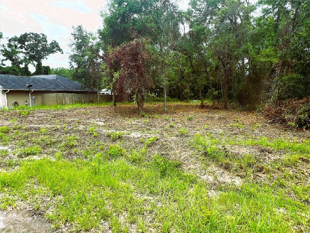 Lot 41 SE 81st Court Summerfield FL 34491 G5081822 image2