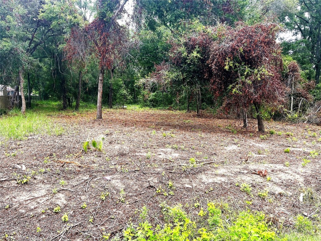 Lot 41 SE 81st Court Summerfield FL 34491 G5081822 image3