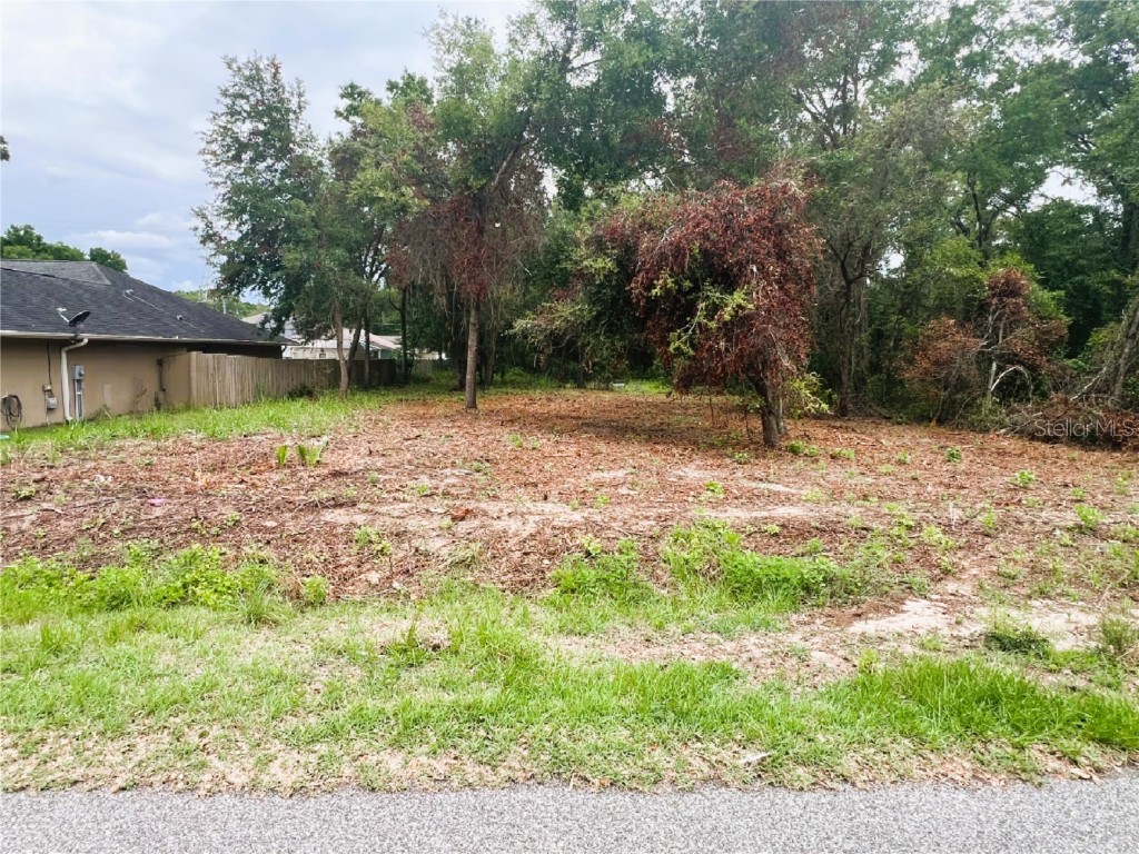 Lot 41 SE 81st Court Summerfield FL 34491 G5081822 image4
