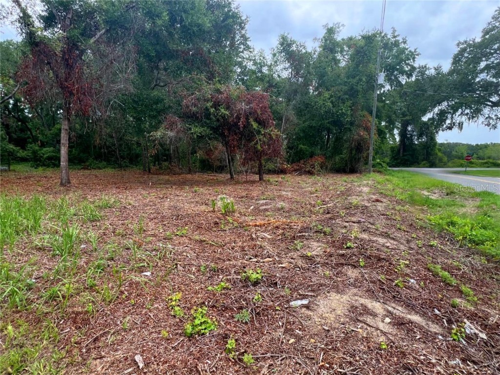 Lot 41 SE 81st Court Summerfield FL 34491 G5081822 image5