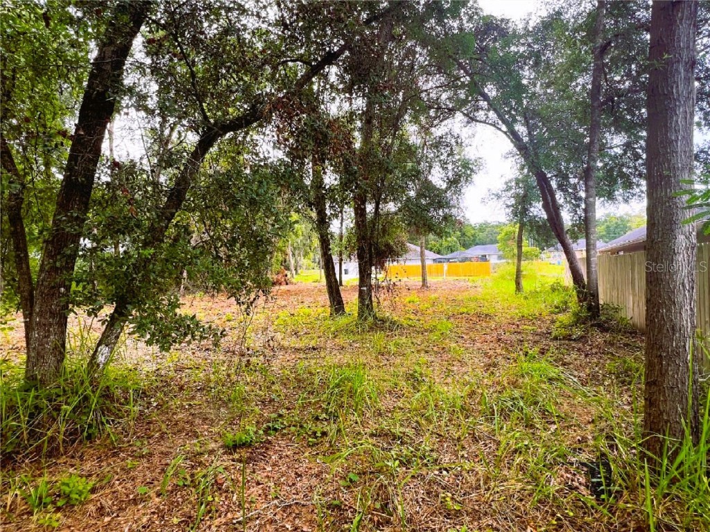 Lot 41 SE 81st Court Summerfield FL 34491 G5081822 image6