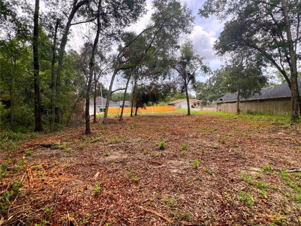 Lot 41 SE 81st Court Summerfield FL 34491 G5081822 image7