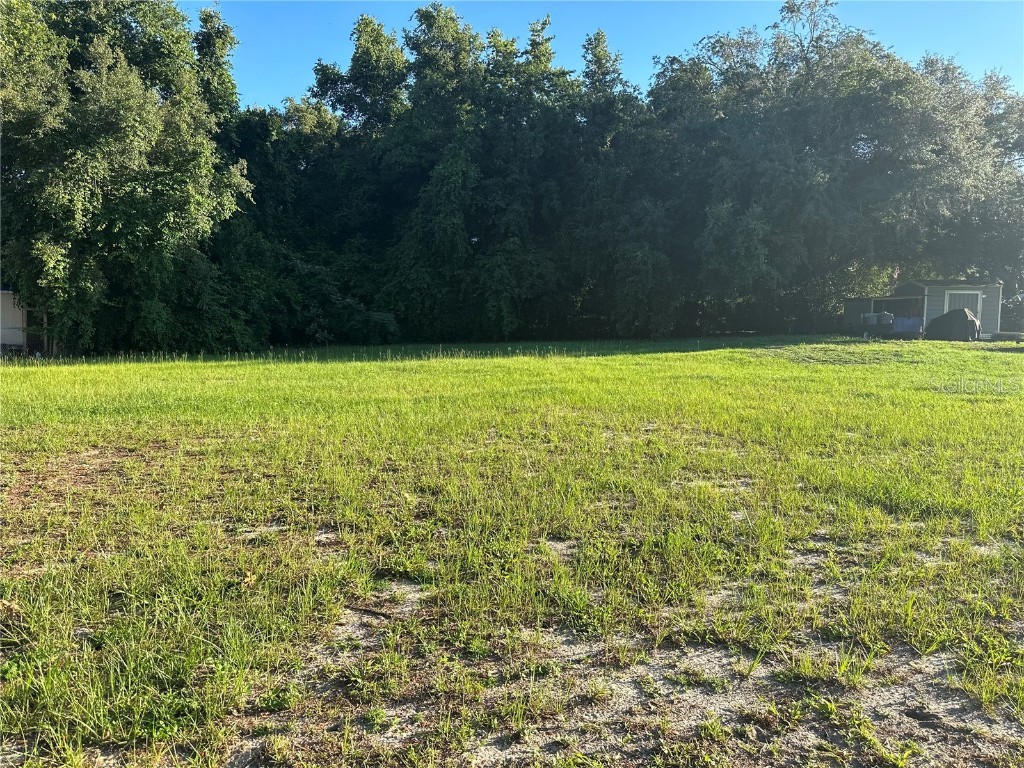 Lot 42 SE 131 Place Ocklawaha FL 32179 G5082536 image1