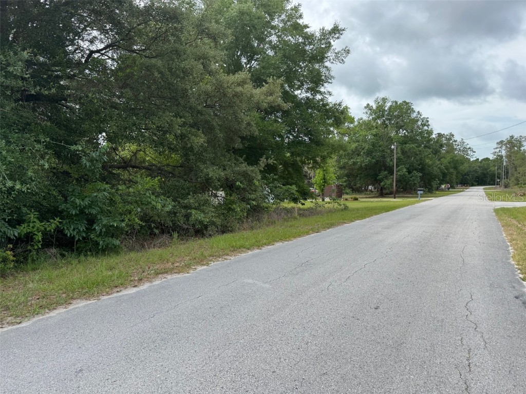 Lot 422 & 423 SW Shorewood Drive Dunnellon FL 34431 - Tiger Lake OM702435 image3