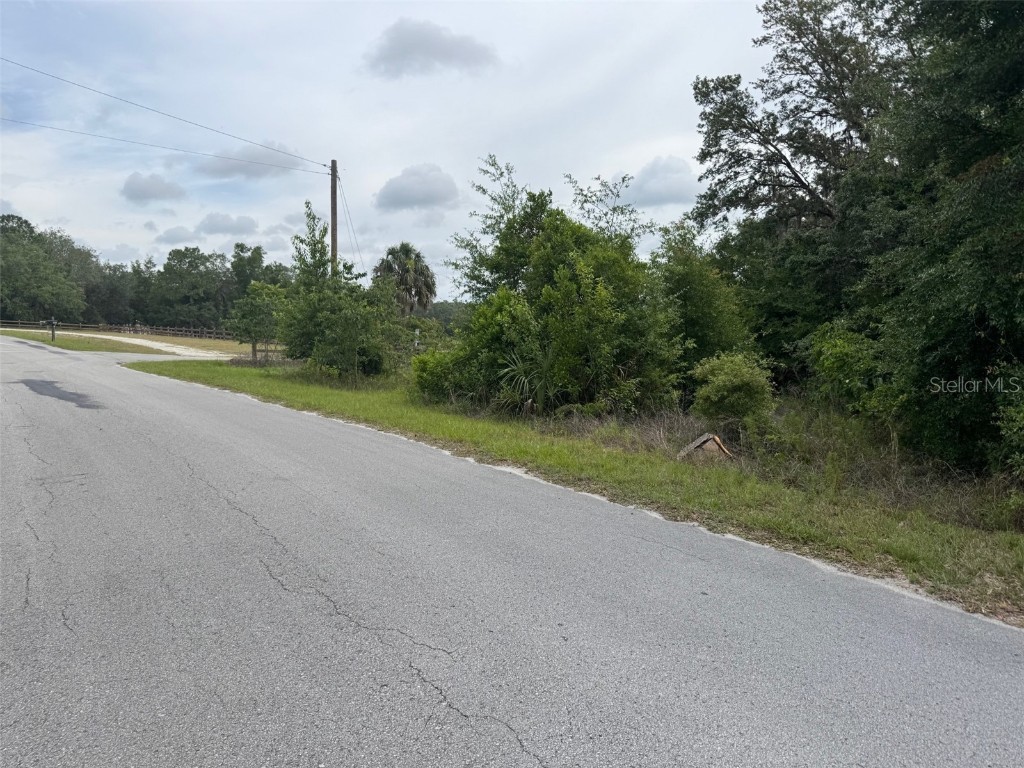 Lot 422 & 423 SW Shorewood Drive Dunnellon FL 34431 - Tiger Lake OM702435 image4