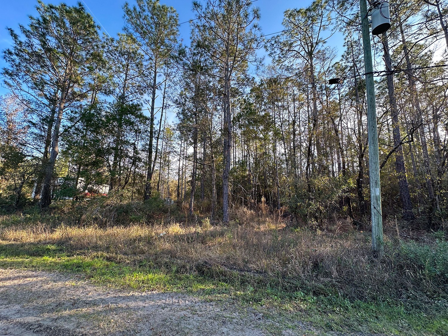 Lot 428 Division Street Hastings FL 32145 O6376825 image11