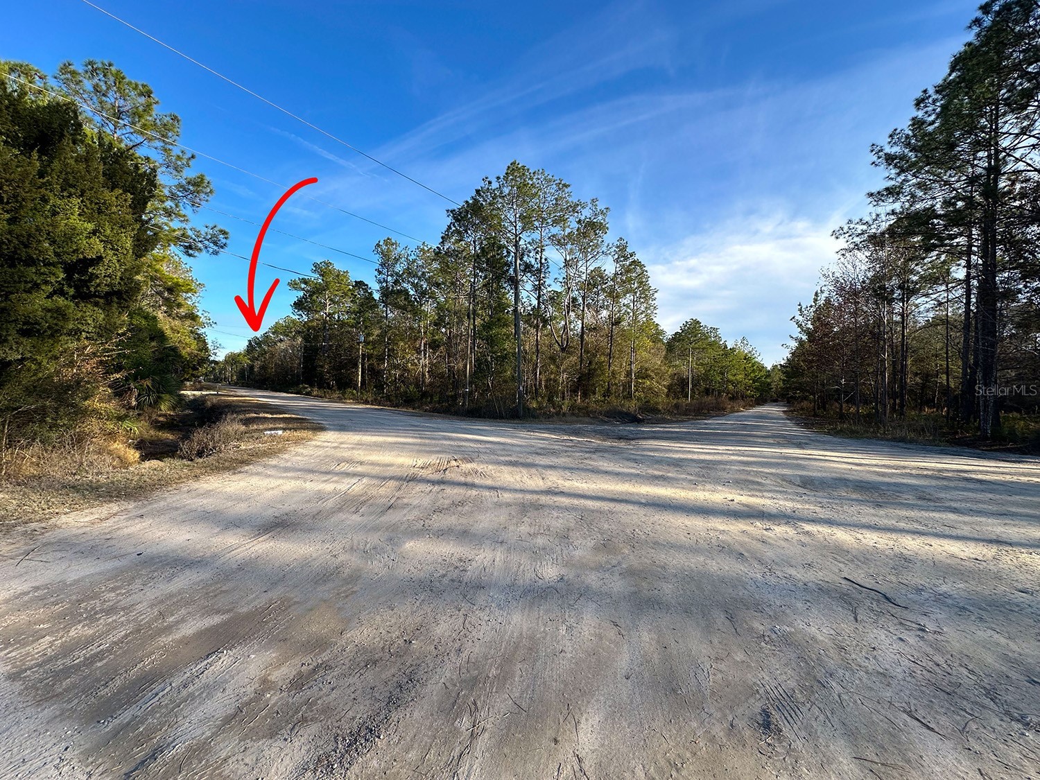 Lot 428 Division Street Hastings FL 32145 O6376825 image14