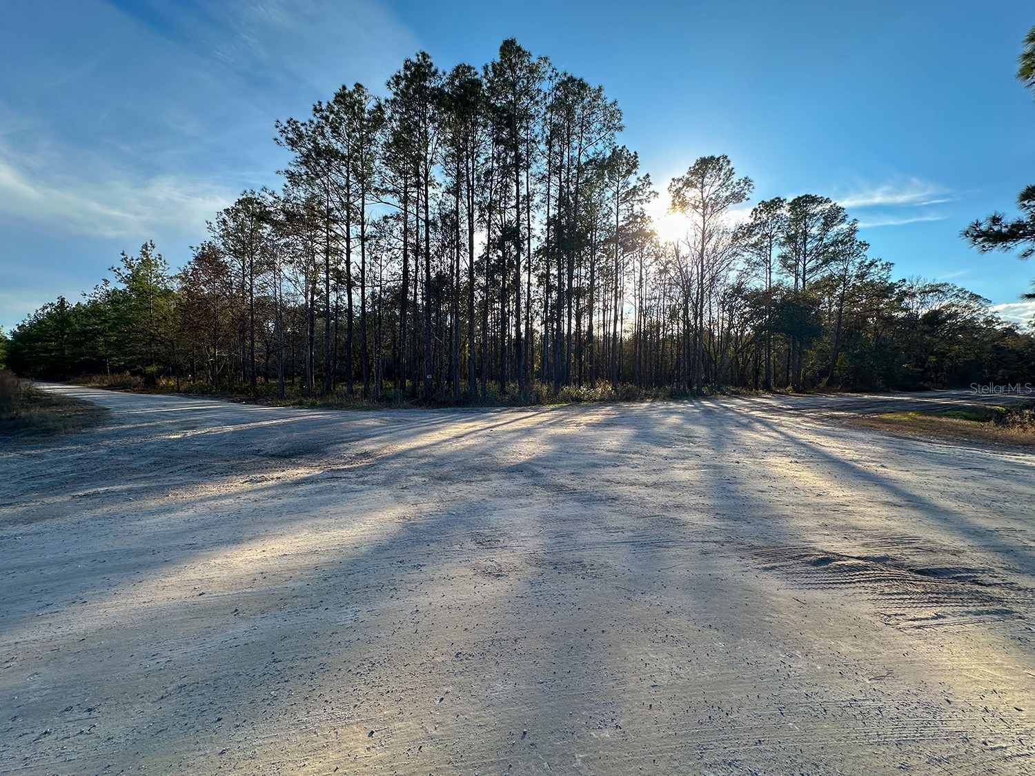 Lot 428 Division Street Hastings FL 32145 O6376825 image16