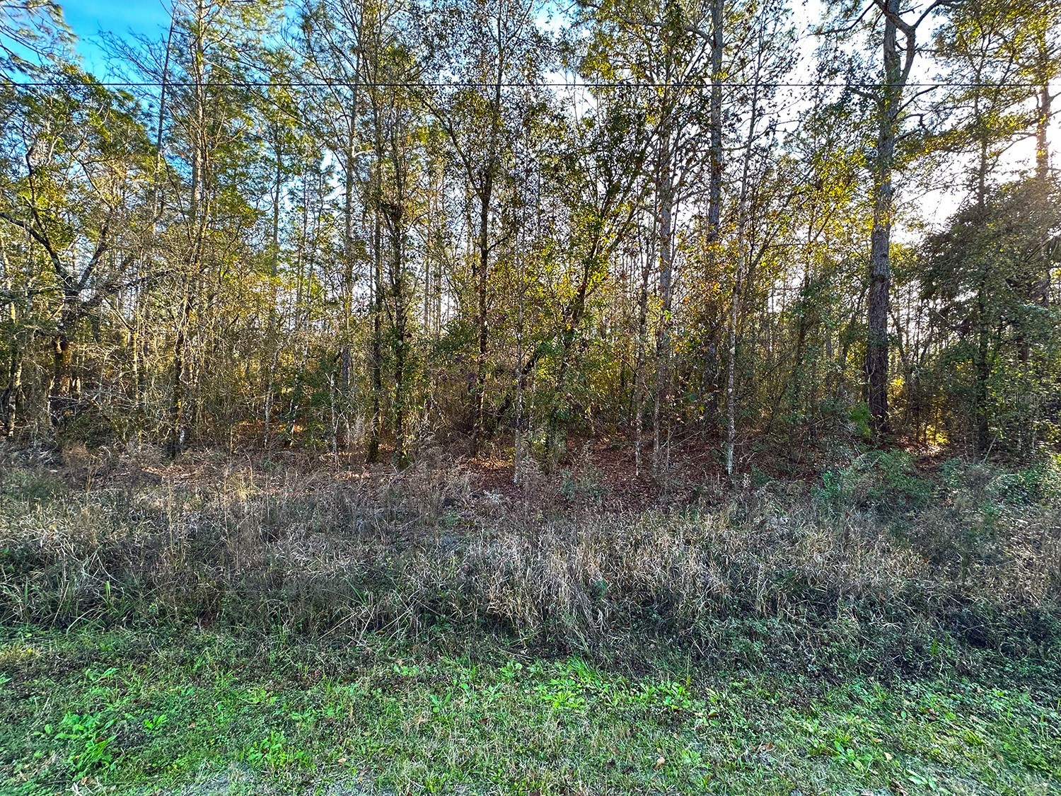 Lot 428 Division Street Hastings FL 32145 O6376825 image2