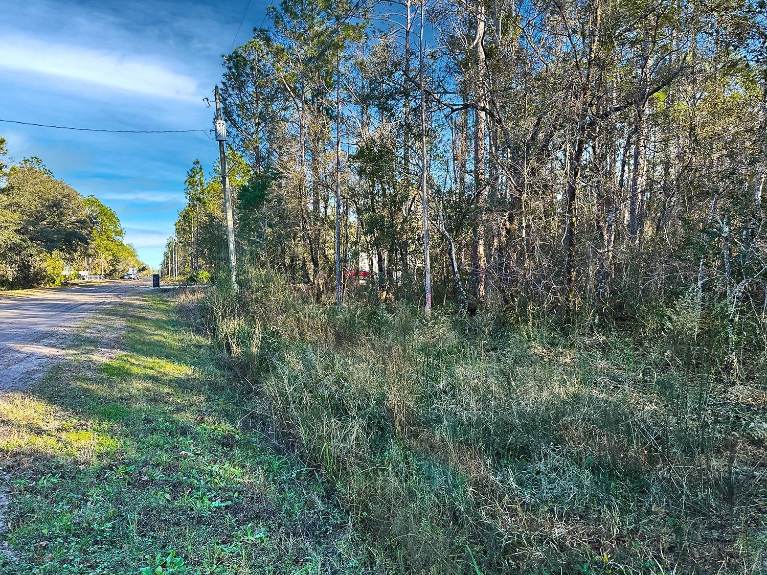 Lot 428 Division Street Hastings FL 32145 O6376825 image3