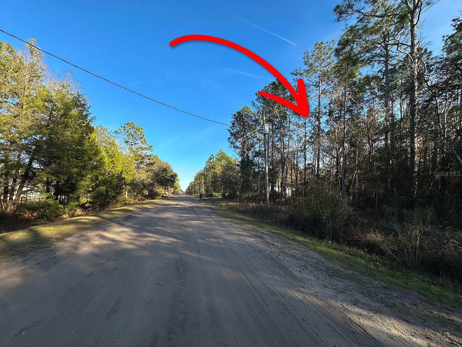 Lot 428 Division Street Hastings FL 32145 O6376825 image5
