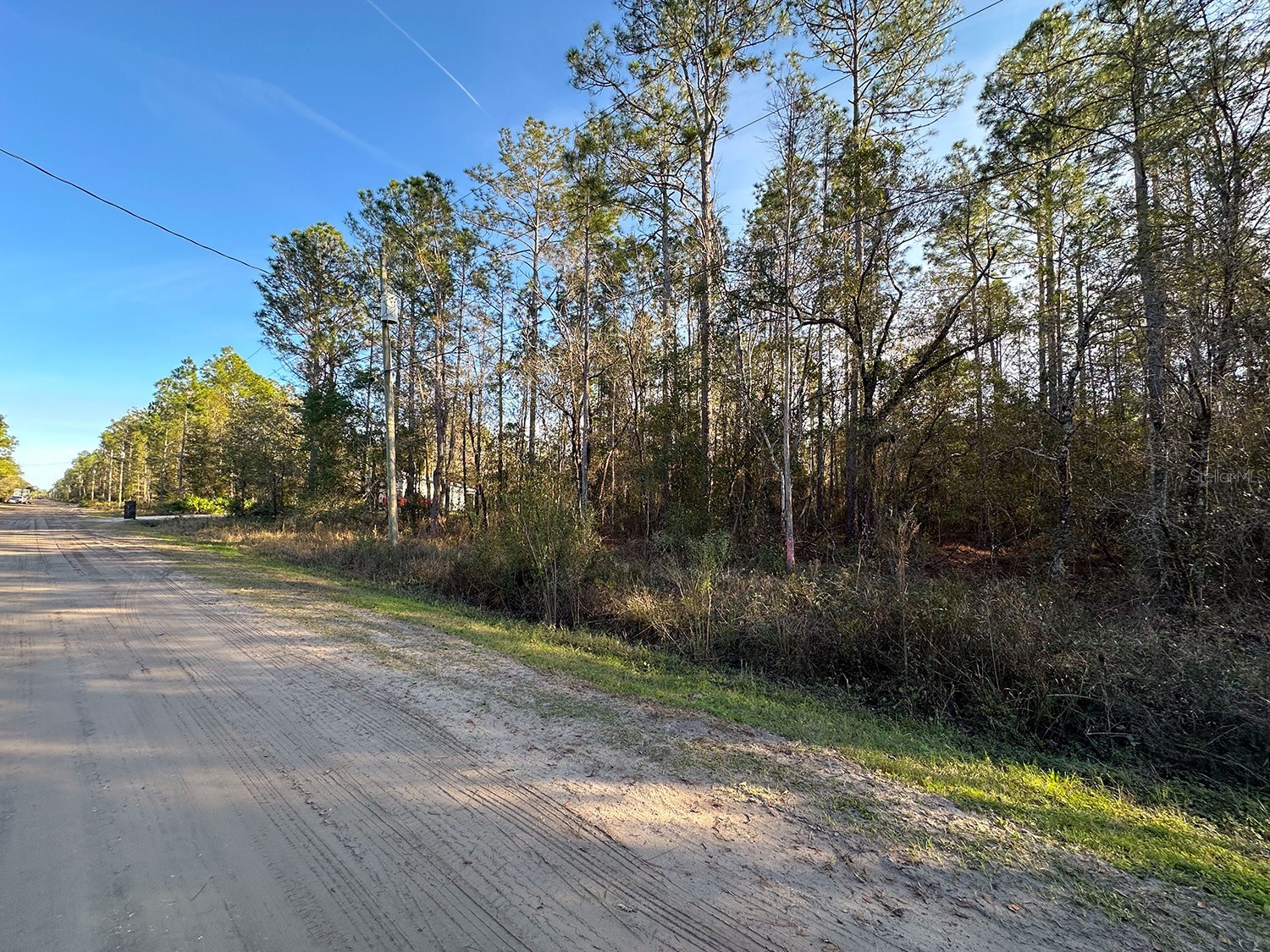 Lot 428 Division Street Hastings FL 32145 O6376825 image6
