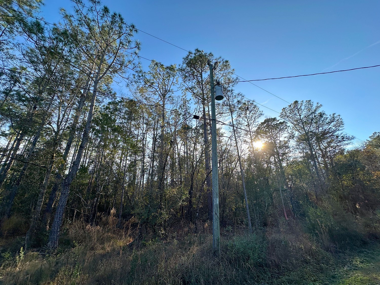 Lot 428 Division Street Hastings FL 32145 O6376825 image9